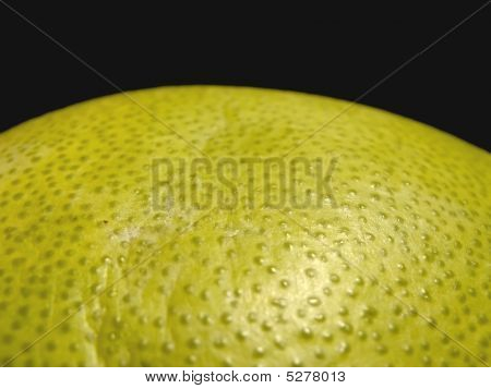 Næroptagelse af Citrus