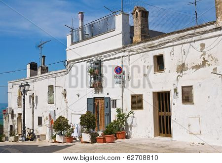 Alleyway. Montescaglioso. Basilicata. Italy.