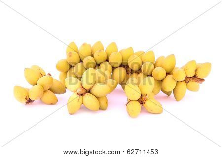 Betel Nuts