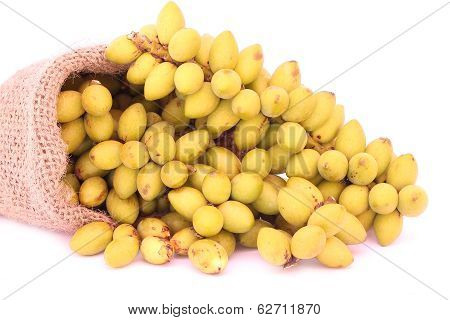 Betel Nuts