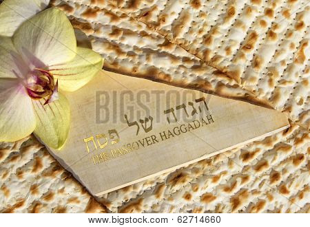 Haggadah Of Passover