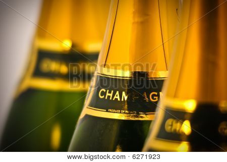 Champagne Bottles