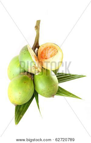 Betel Nuts