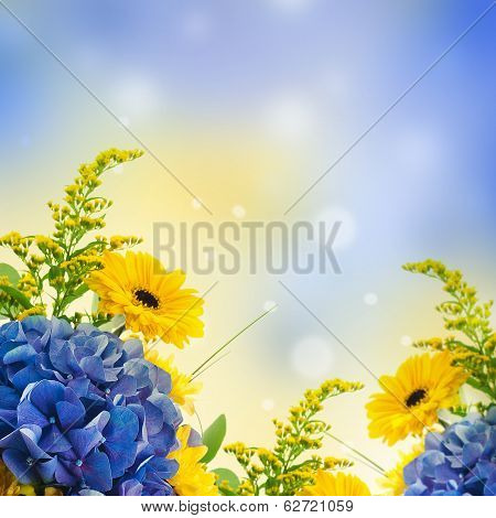 Bouquet from blue hydrangeas and yellow asters, a flower background