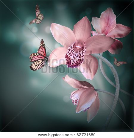 Orchids with a butterfly on the coloured background