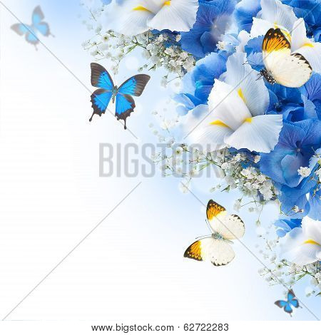Flowers and butterfly, blue hydrangeas and white irises