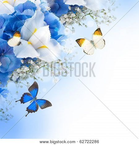 Flowers and butterfly, blue hydrangeas and white irises