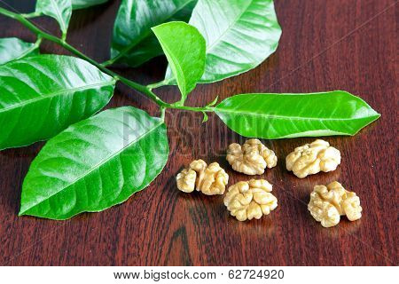 Shelled walnuts
