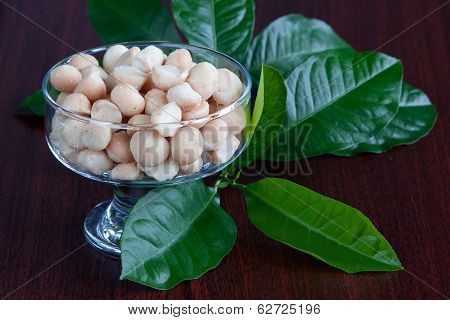 Macadamia