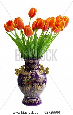Tulips in the vase