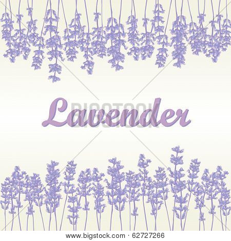 Lavender product labels