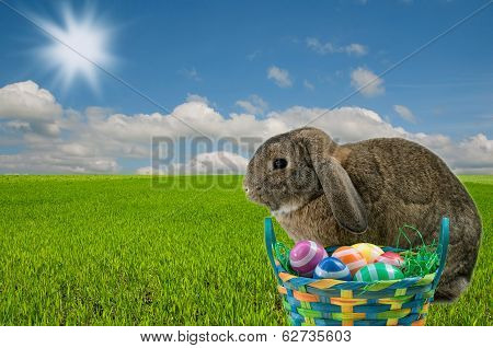 Easter Bunny And Easter Eggs