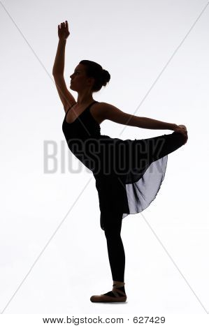 danser