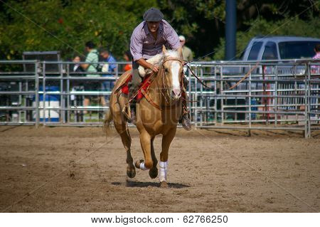 Reins Test