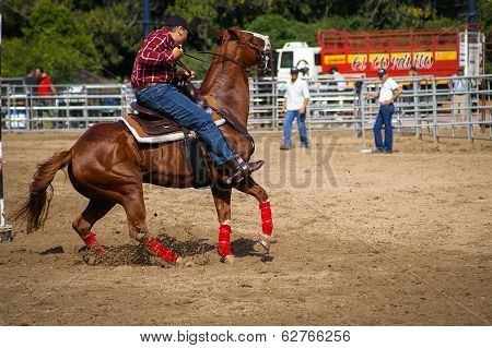 Reins Test