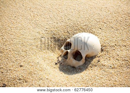 Human Skull Half Buried In The Beach Sand