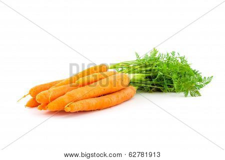 Fresh Organic Carrots On White Background