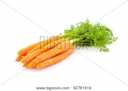 Fresh Organic Carrots On White Background