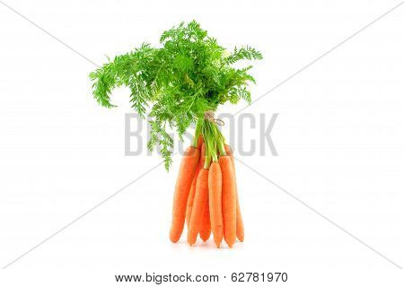 Bunch Of Fresh Baby Carrots On White Background.