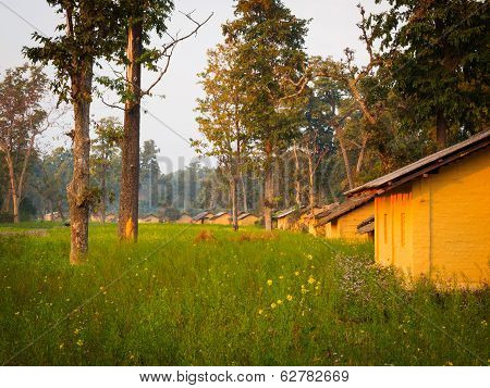 Village Homes
