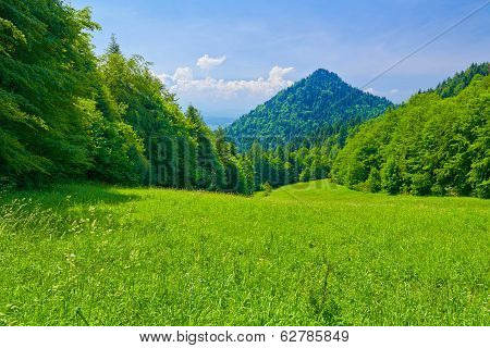 Spring Landscape. Pieniny Mountains.