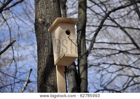 Birdhouse In The Park One Day In April.