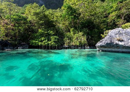 Inside the big lagoon of the Miniloc island, El Nido, Philippines