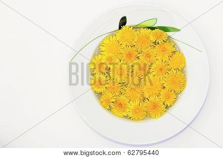 Spring Soap