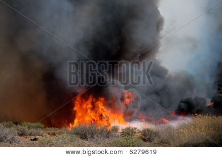 Brushfire