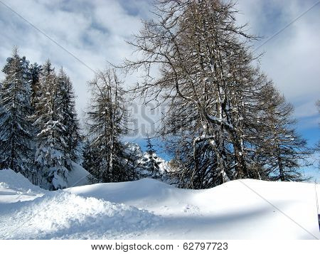 Vigo Di Fassa