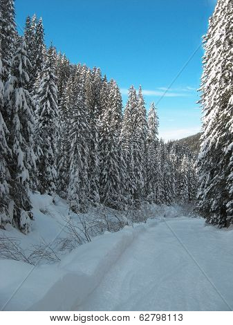 vigo di fassa