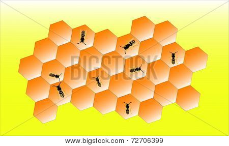 Bees