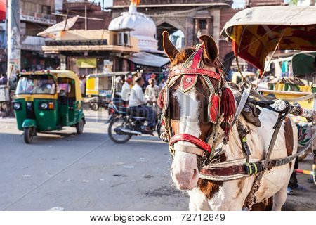 Ride Horse Cart At Sadar Market, India.