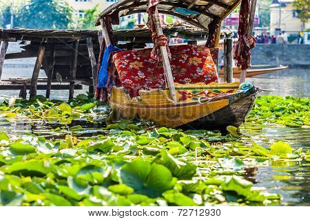 Shikara Boat In Dal Lake , Kashmir India
