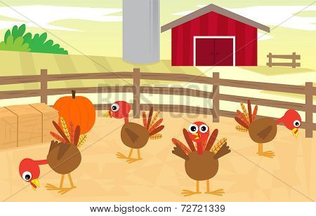 Turkey Farm