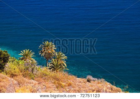 Beautiful Beach In La Gomera Island - Canary