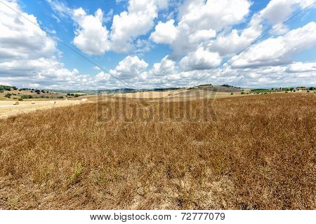 Tuscany Farmland