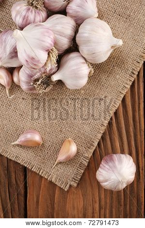 Garlic Close-up On Burlap