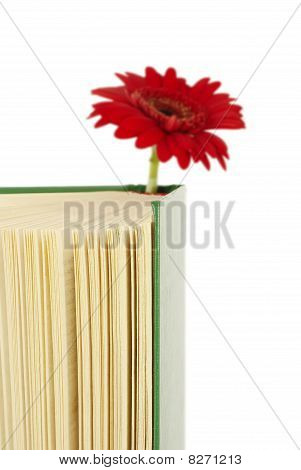Book With A Red Flower.