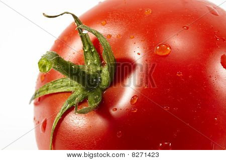 토마토를 닫습니다.