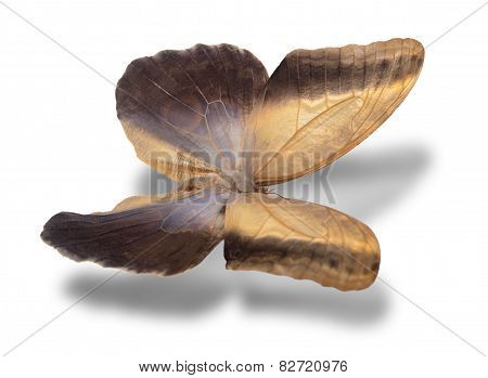 Butterfly Isolated On White.