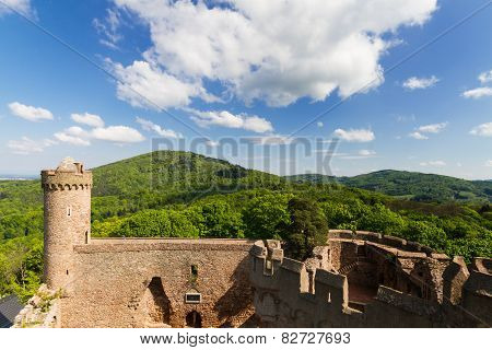 Castle Auerbach In Spring