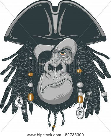 Monkey harsh pirate