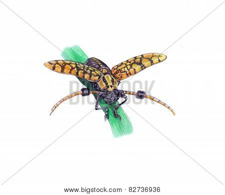 bug painting