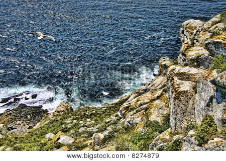 Cliff Cies ostrovy