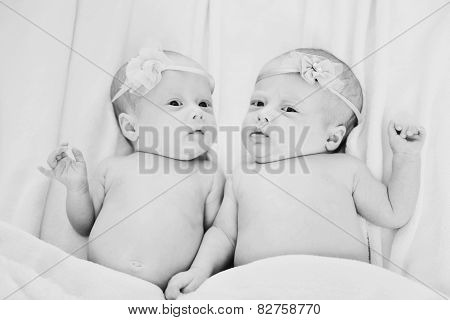 Twins