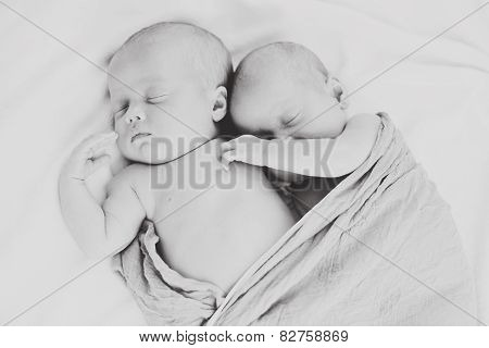 Lovely Sleeping  Twins