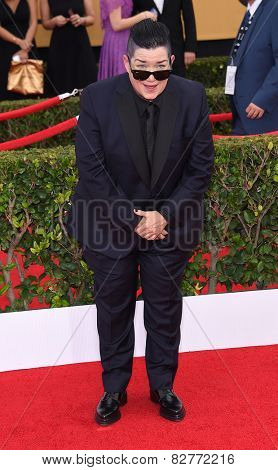LOS ANGELES - JAN 25:  Lea DeLaria arrives to the 21st Annual Screen Actors Guild Awards  on January 25, 2015 in Los Angeles, CA                