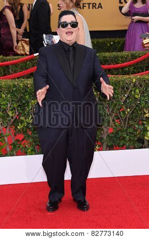 LOS ANGELES - JAN 25:  Lea DeLaria arrives to the 21st Annual Screen Actors Guild Awards  on January 25, 2015 in Los Angeles, CA                