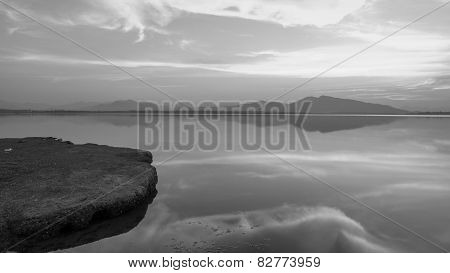 Black and white on a Lake